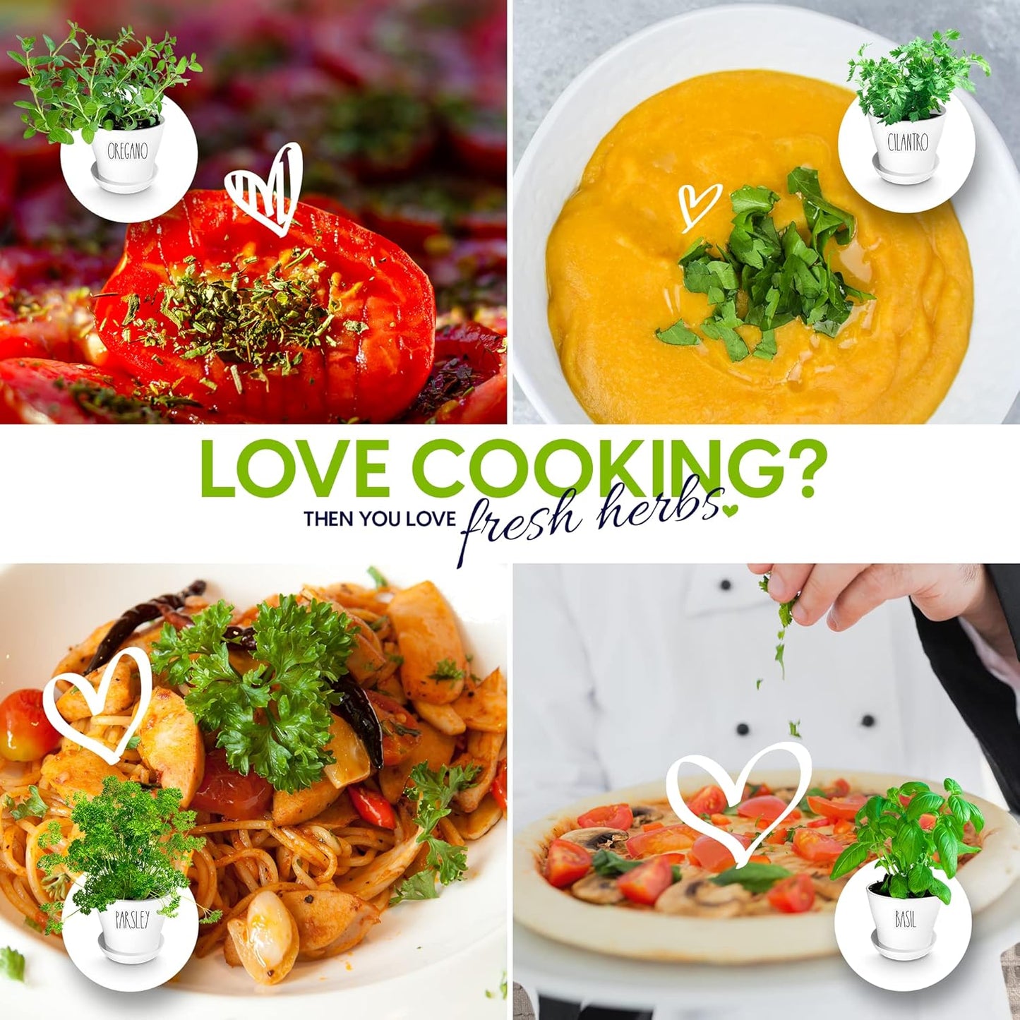 Deluxe Indoor & Outdoor Herb Garden Kit – 8 or The Most Popular Culinary Herbs with Pots & Soil for Windowsill or Patio Growing