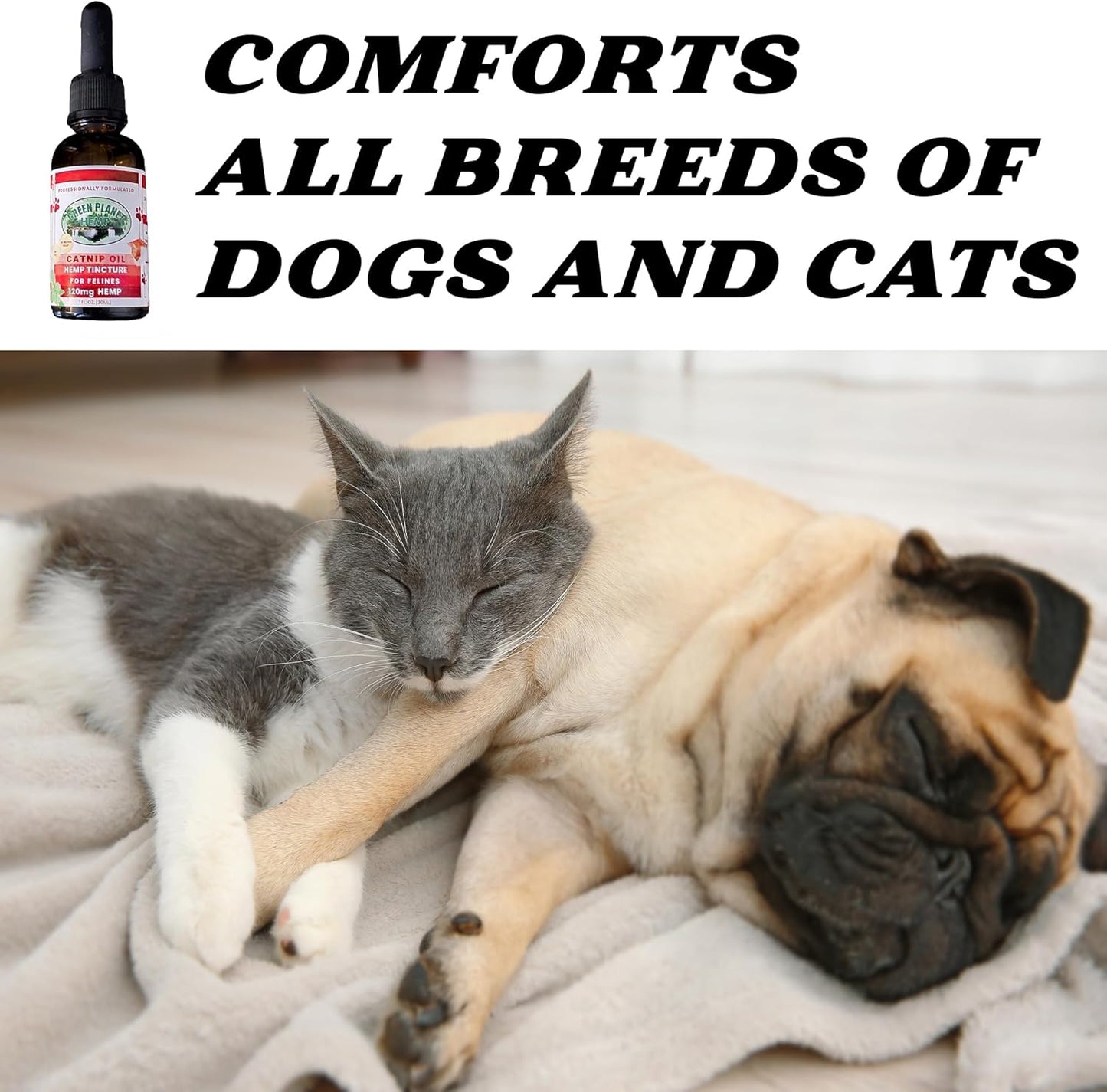 Pet Hemp Oil | Dogs and Cats | Catnip Oil | Green Planet Hemp | 120MG Organic Tincture | 100% Natural | Hip, Joint, and Muscle Support for Your Pet | Aids with Anxiety,Stress, and Pain