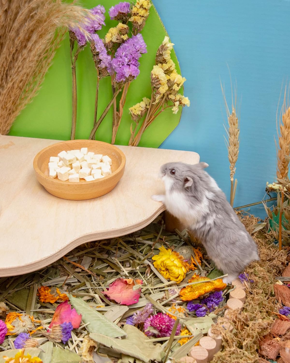 Niteangel Hamster Snack & Treats Toy - Small Animal Natural Treat for Dwarf Syrian Robo Hamsters Gerbils Mice Lemmings Degus or Other Small-Sized Pets