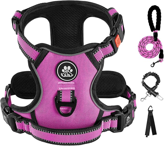 IVY&LANE No Pull Dog Harness for Small Dogs, Dog Vest Harness with Leash, Safety Belt and Storage Strap, Fully Adjustable Harness, 360° Reflective Strip, Soft Handle (Fuchsia Pink,S)