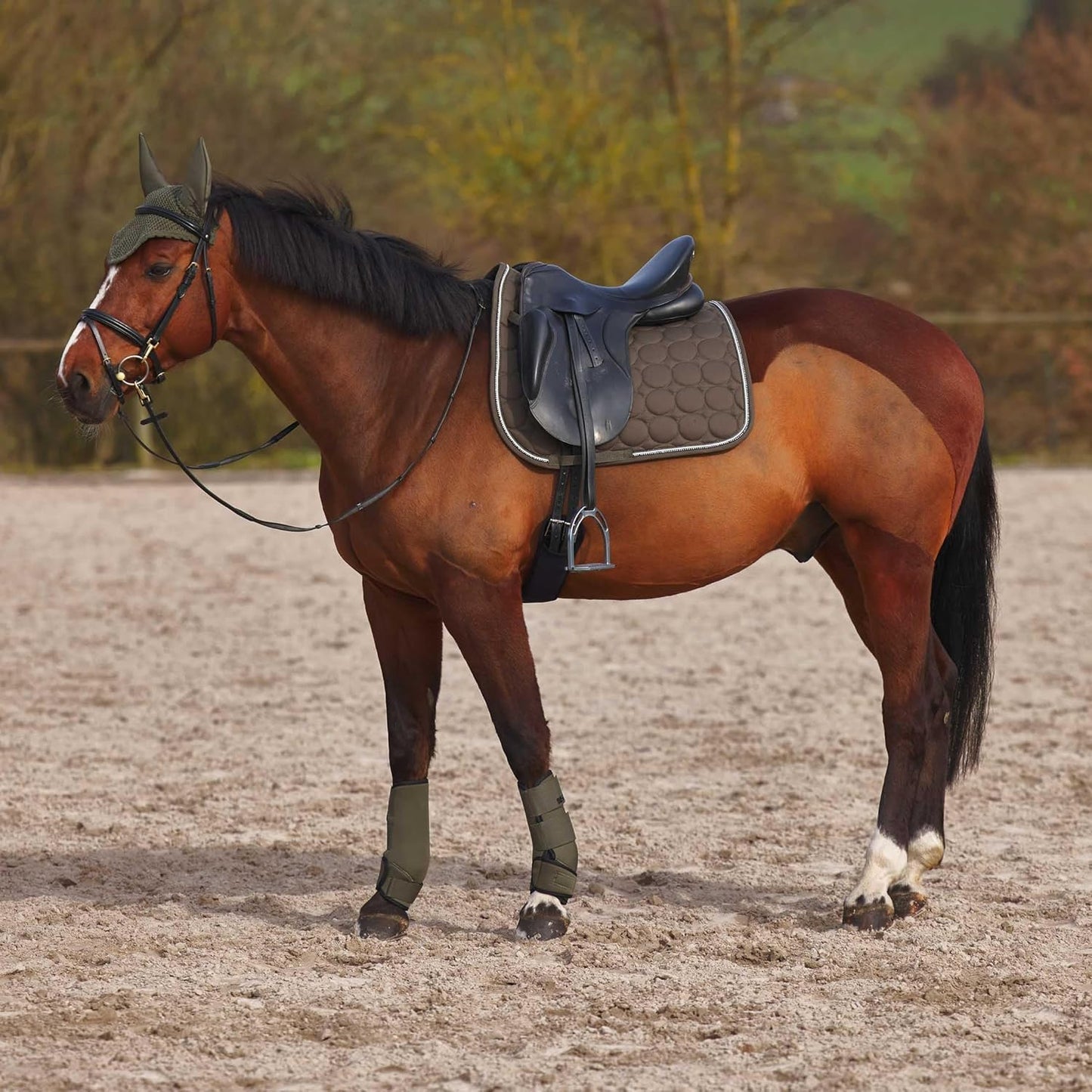 HORZE Marquess Quilted Quick-Dry Dressage Saddle Pad with Crystal Trim