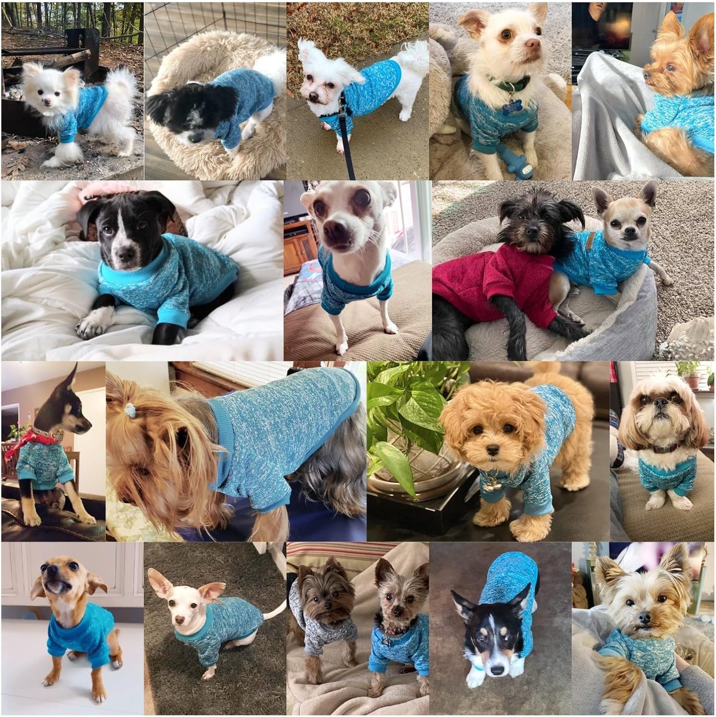 Jecikelon Dog Clothes Dogs Sweater Soft Puppies Clothing Winter Puppy Sweaters Warm Outfit for Dogs Small XXS XS Cat Apparel (Light Blue, XS)