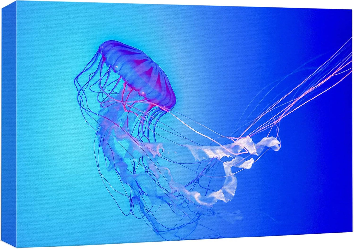 wall26 Canvas Print Wall Art Vibrant Neon Blue Pink Jellyfish Deep Sea Nature Animals Photography Realism Rustic Scenic Landscape Wilderness Earth Colorful for Living Room, Bedroom, Office - 16"x24"
