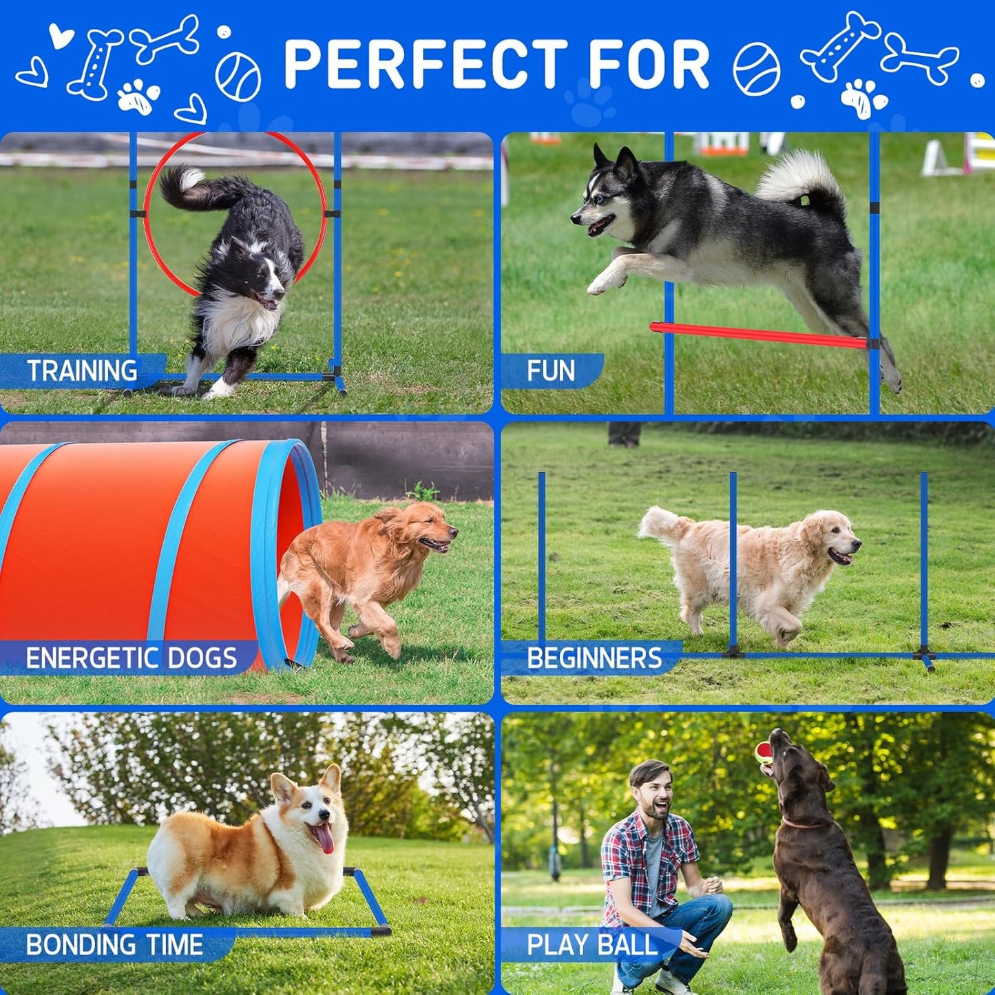 Dog Agility Training Equipment Set, Obstacle Courses Agility Training Kit for Puppy Includes 2 High Hurdles, Standard Tunnel, Blind Tunnel, Jumping Ring, 6 Weave Poles, Pause Box and 2 Carrying Bags