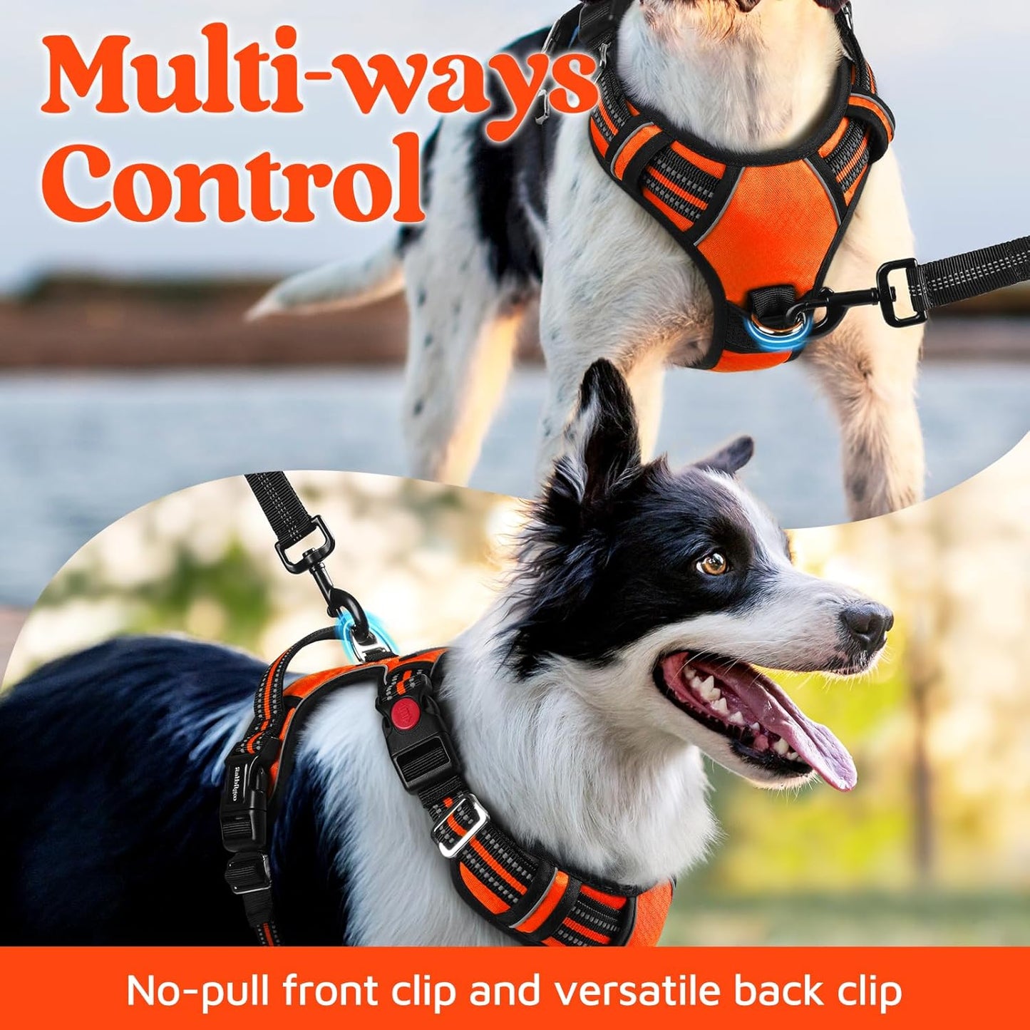 rabbitgoo Dog Harness Small Sized, No Pull Dog Vest with 3 Buckles, Adjustable Soft Padded Pet Harness with Easy Control Handle and Reflective Strips, Orange, S