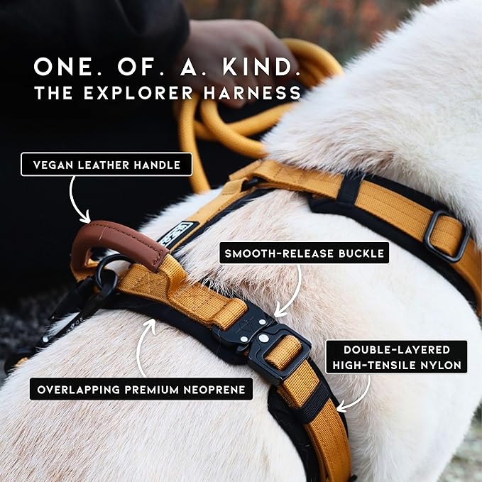 MADE TO ROAM Premium Explorer Harness - Y-Shaped Dog Harness with Adjustable Durable Nylon, Soft Padding, Metal Buckles and Leather Handle for Small, Medium, Large Dogs (Florida Seaside, Size 3)