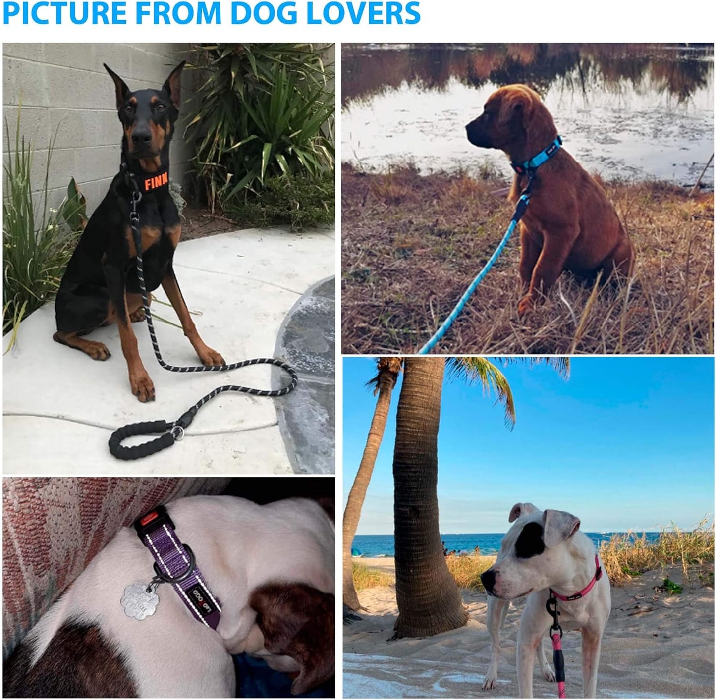 Heavy Duty Dog Leash - Comfortable Padded Handle, 5 ft Long - Dog Leashes for Small Medium Large Dogs (Leash+Collar XS Neck 10.5"-13.5", Pink)