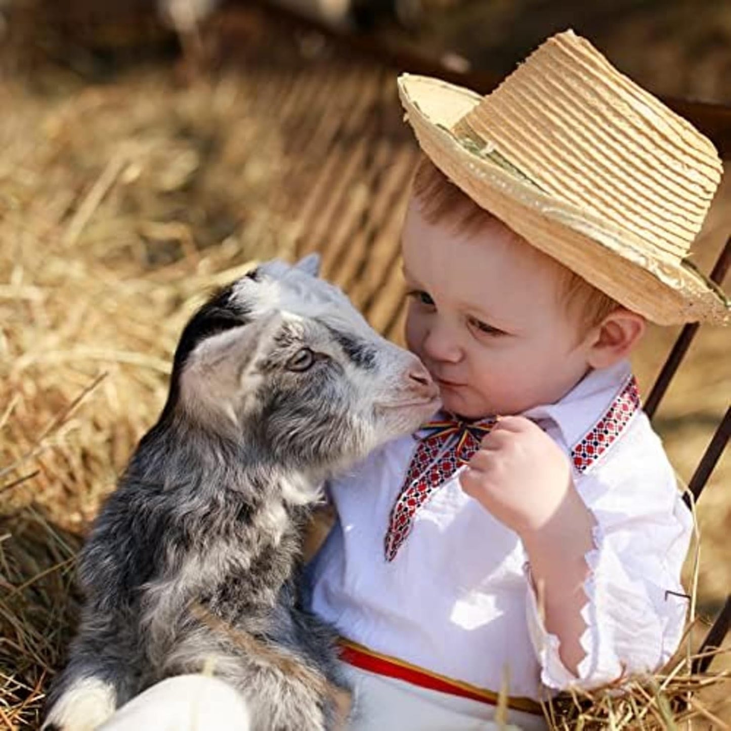 Blue Mountain Hay | Fresh Alfalfa Hay (24 Ounce) | High Leaf Retention | Nutritious High-Altitude Hay Pet Food for Rabbits, Guinea Pigs, Chinchillas, Hamsters, and Other Small Pets