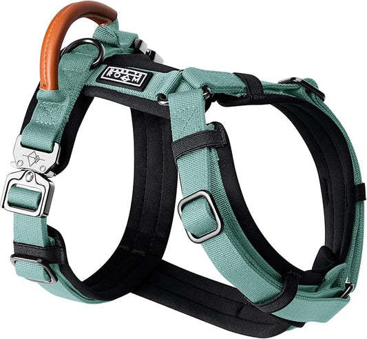 MADE TO ROAM Premium Explorer Harness - Y-Shaped Dog Harness with Adjustable Durable Nylon, Soft Padding, Metal Buckles and Leather Handle for Small, Medium, Large Dogs (Florida Seaside, Size 1)