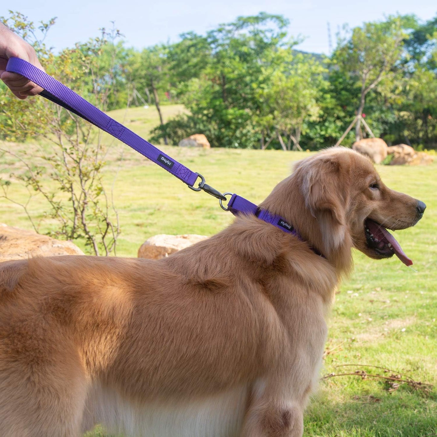Hyhug Pets Premium Upgraded Heavy Duty Nylon Anti-Escape Martingale Collar for Boy and Girl Dogs Comfy and Safe - Daily Use Walking and Professional Training. (Large, Ultra Violet)