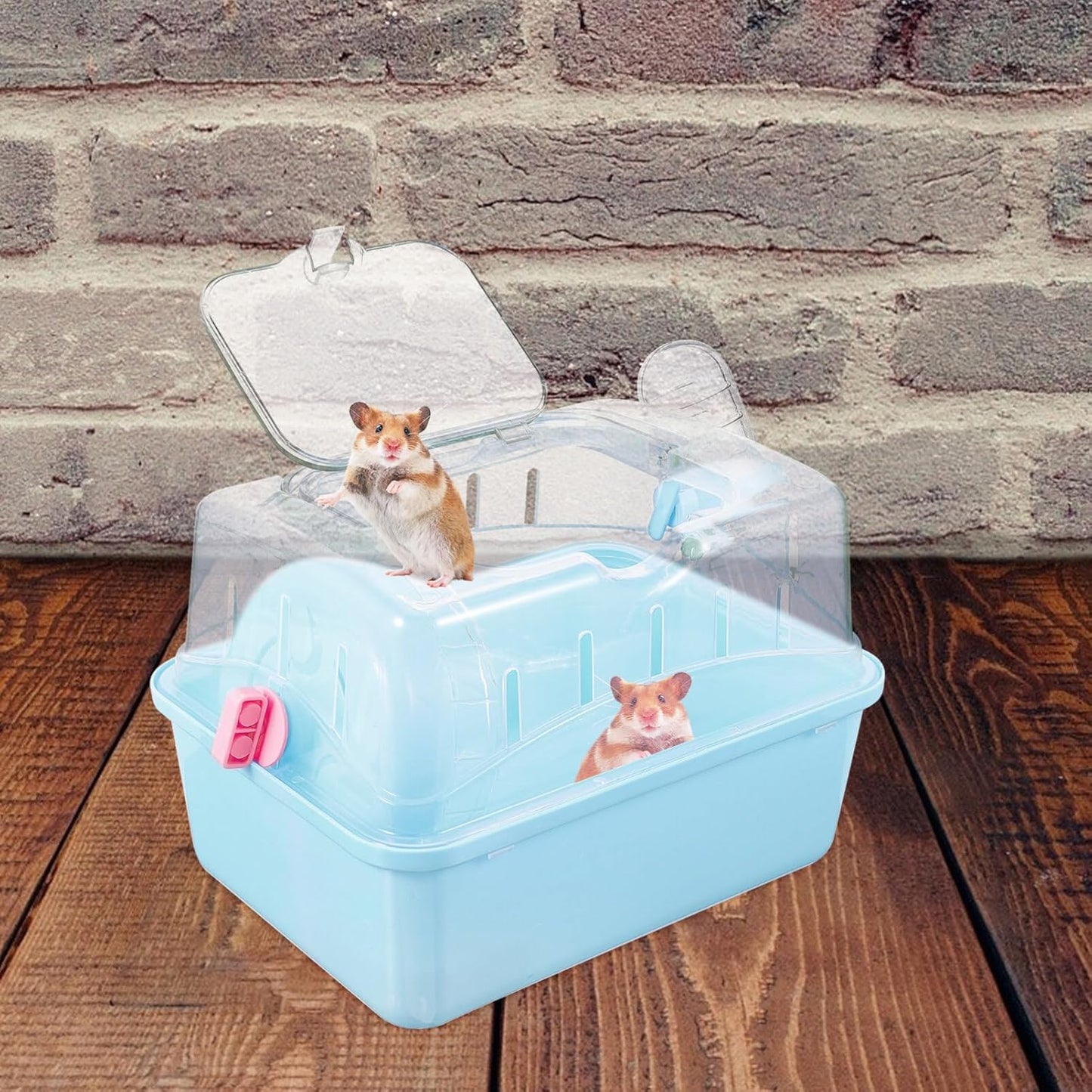 Hamster Cage - Small Pet Carrying Container, Clear Stand, Outdoor Travel House, Fully Transparent Plastic, 11.00X6.7in