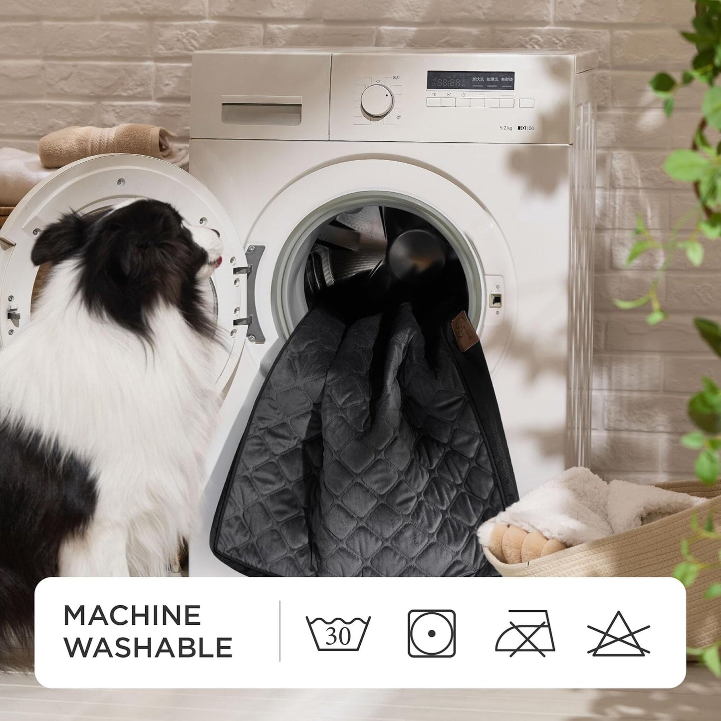 Bedsure Orthopedic Dog Bed for Medium Dogs - Flat Memory Foam Pet Mattress with Removable Washable Cover and Egg Crate Foam, Suitable for Pet Up to 35 lbs, 30x20x3 Inches, Black