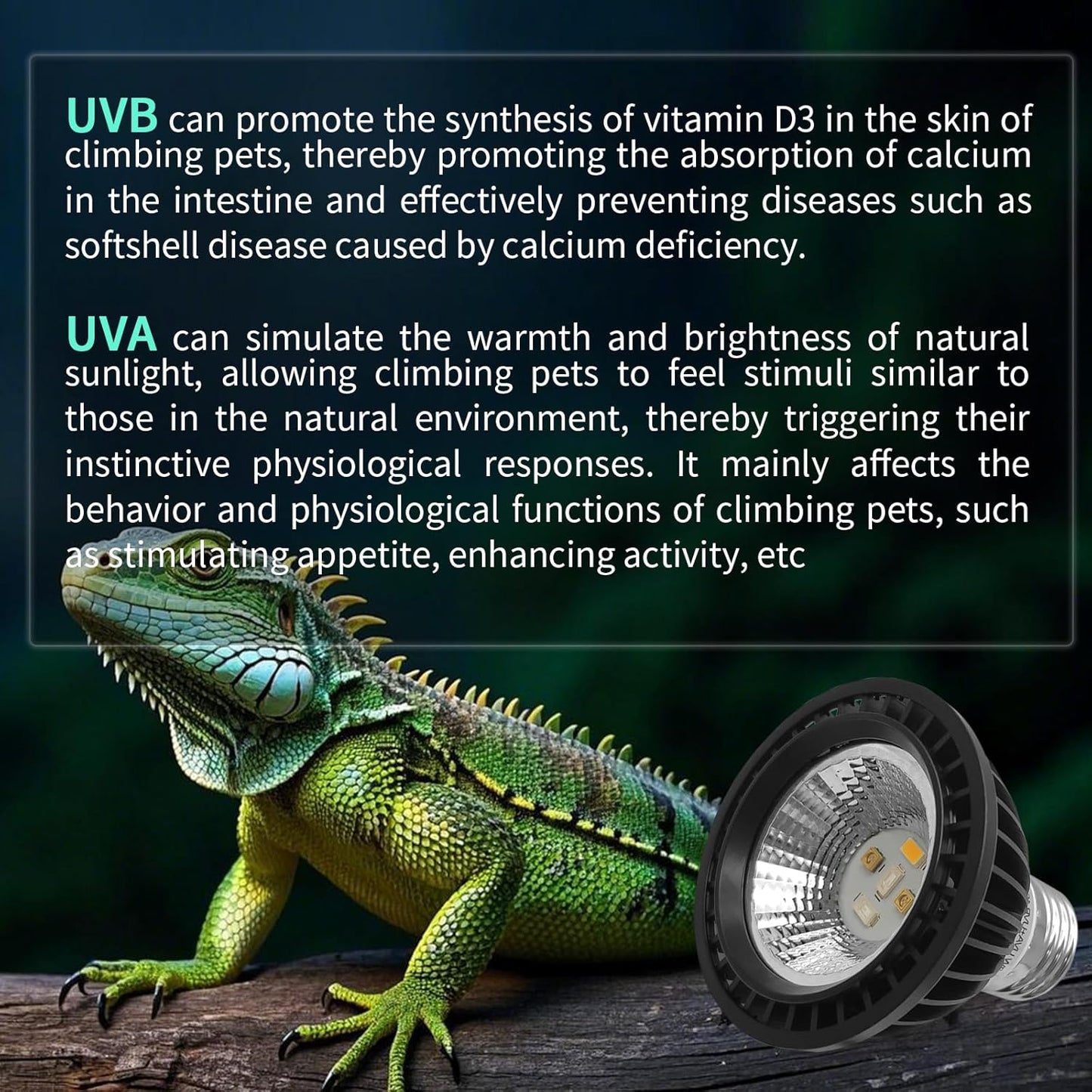 UVB Light Bulb for Reptiles, LED 3W 10.0 UVA UVB Heat Lamp Bulbs Ideal for Rainforest Reptiles, Bearded Dragons Lizard Turtle Tortoise Iguanas Chameleons Snake (1 Pack)