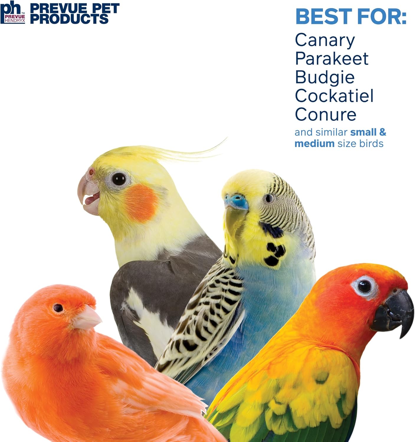 Pervue Pet Products Forage & Engage Thread Catcher Bird Toy 62514