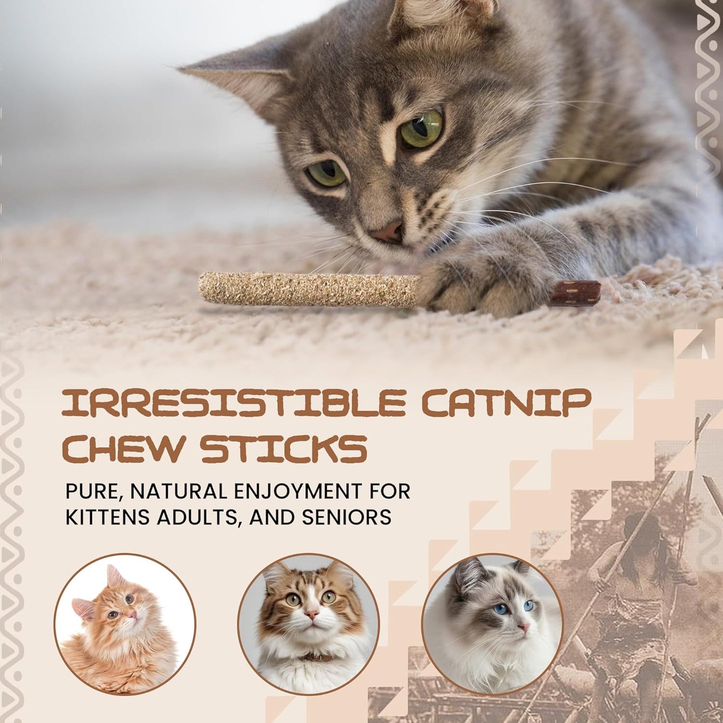 HUPA Cat Chew Sticks | Anxiety Relief & Digestive Support, Kitten Teething Chews, Cat Dental Chews | Natural Catnip Teething for Indoor Cats, Energetic Chew for All Ages & Breeds | 6 Sticks