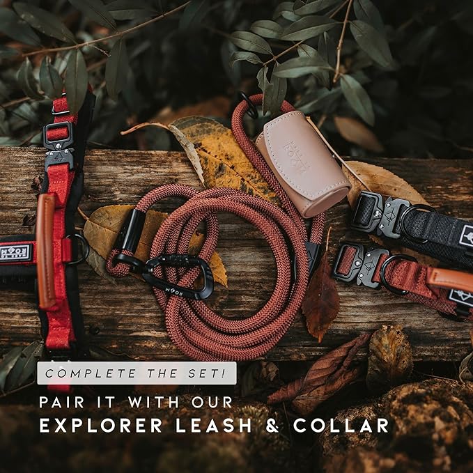 MADE TO ROAM Premium Explorer Harness - Y-Shaped Dog Harness with Adjustable Durable Nylon, Soft Padding, Metal Buckles and Leather Handle for Small, Medium, Large Dogs (Washington Rain, Size 1)