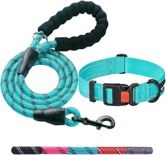Heavy Duty Dog Leash - Comfortable Padded Handle, 5 ft Long - Dog Leashes for Small Medium Large Dogs (Leash+Collar XS Neck 10.5"-13.5", Blue)