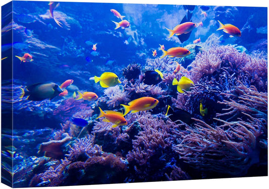 wall26 Canvas Print Wall Art Purple Blue Vibrant Anemone Coral Reef Fish Nature Animals Photography Realism Rustic Scenic Landscape Wilderness Colorful for Living Room, Bedroom, Office - 16"x24"