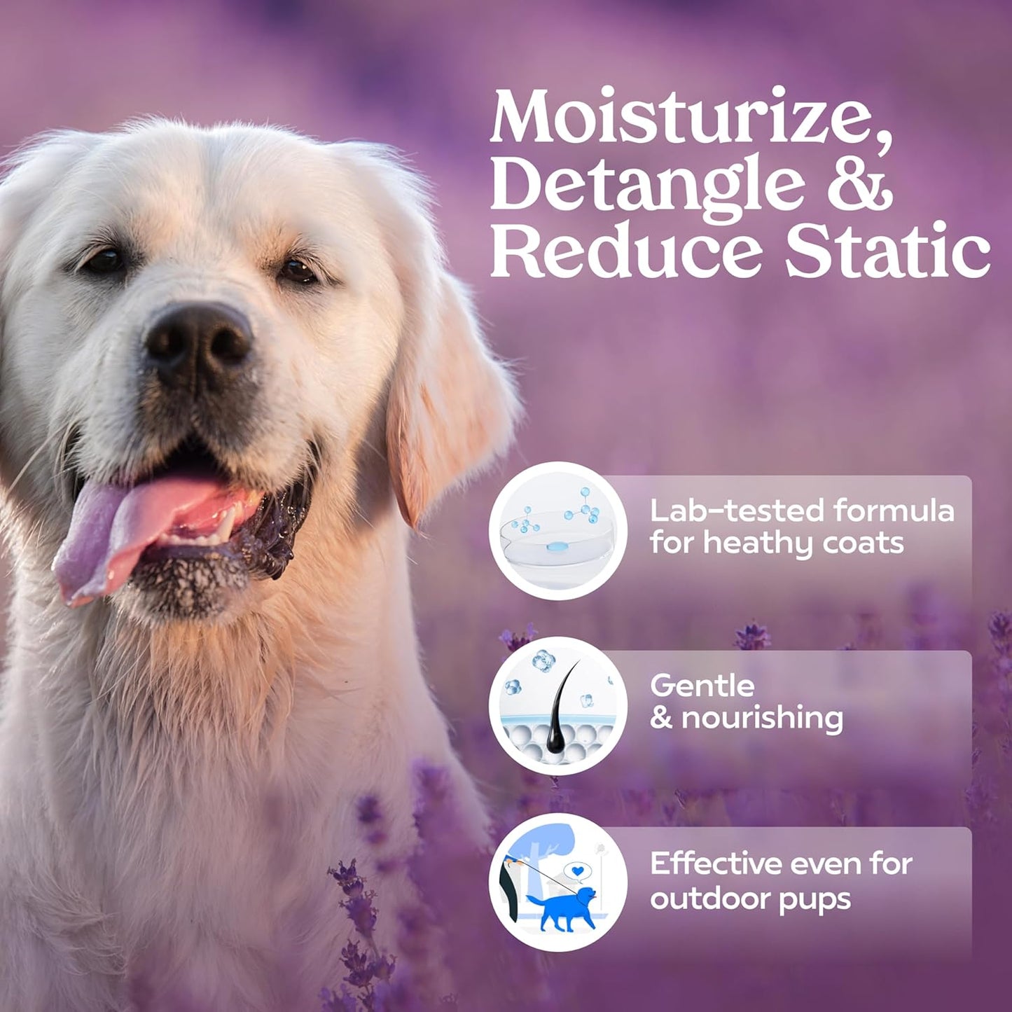 PAWFUME Dog Detangler Grooming Spray, Royal Lavender, 4-Pack – Keeps Pups Fresh All Day – Hypoallergenic, Alcohol-Free, Detangling & Moisturizing – Salon-Quality Dog Necessities for Coat & Fur Care
