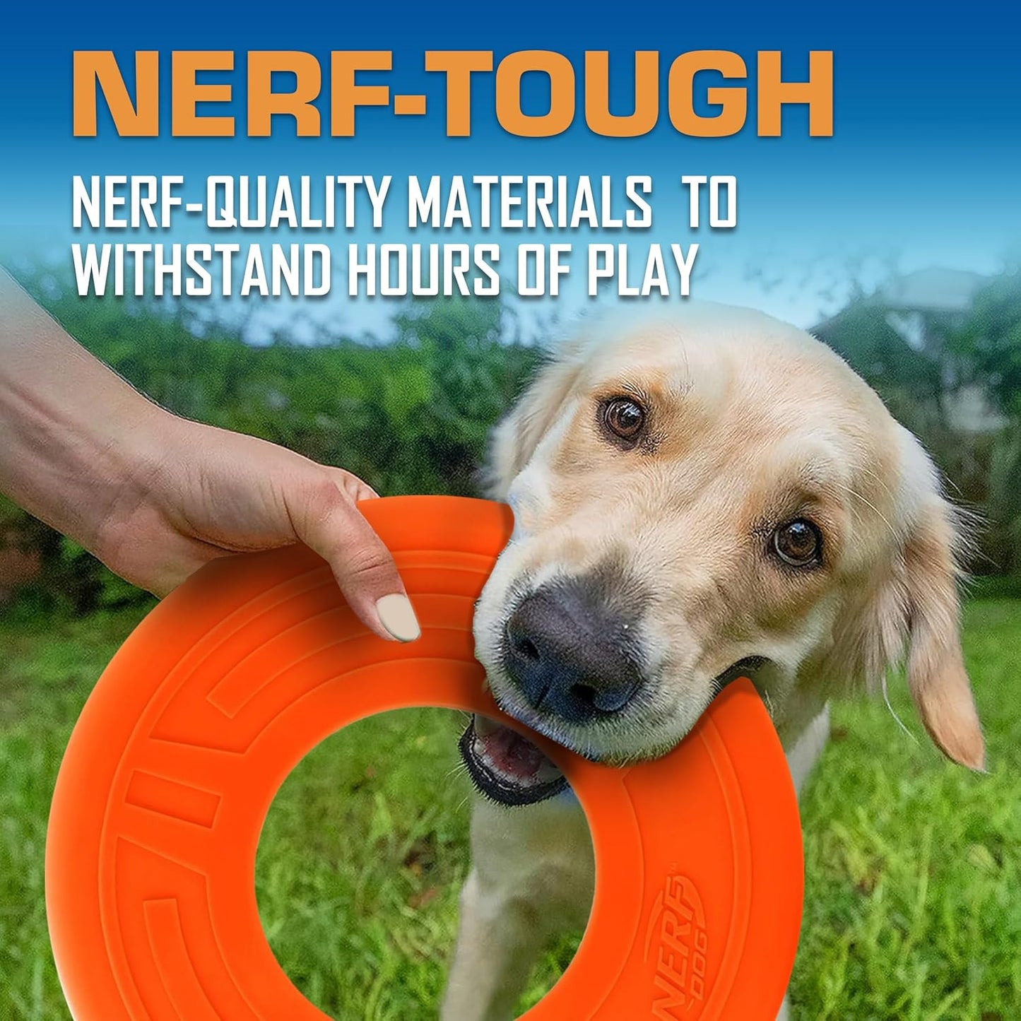 Nerf Dog Atomic Flyer Outdoor Dog Toy, 10 Inch Flying Disc Dog Fetch Toy, Rubber Dog Toy for Medium Dogs and Large Dogs, Orange