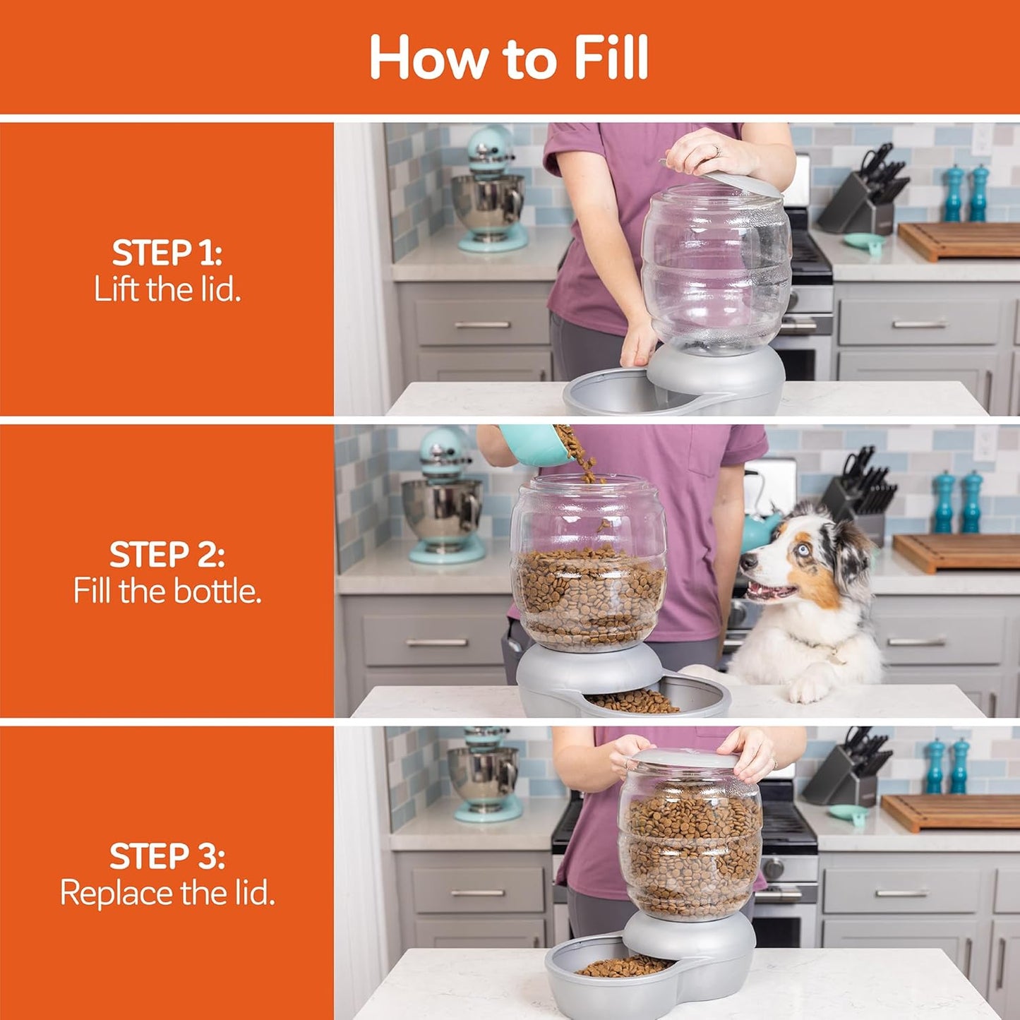 Petmate Replendish Feeder with Automatic Cat and Dog Feeder Grey, Made in USA