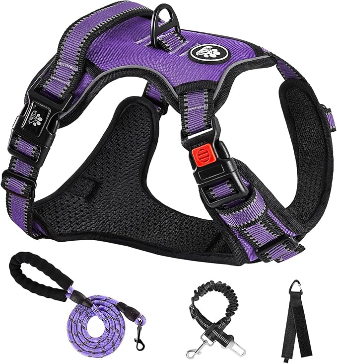 NESTROAD No Pull Dog Harness,Adjustable Oxford Dog Vest Harness with Leash,Reflective No-Choke Pet Harness with Easy Control Soft Handle for Small Dogs(Small,Purple)