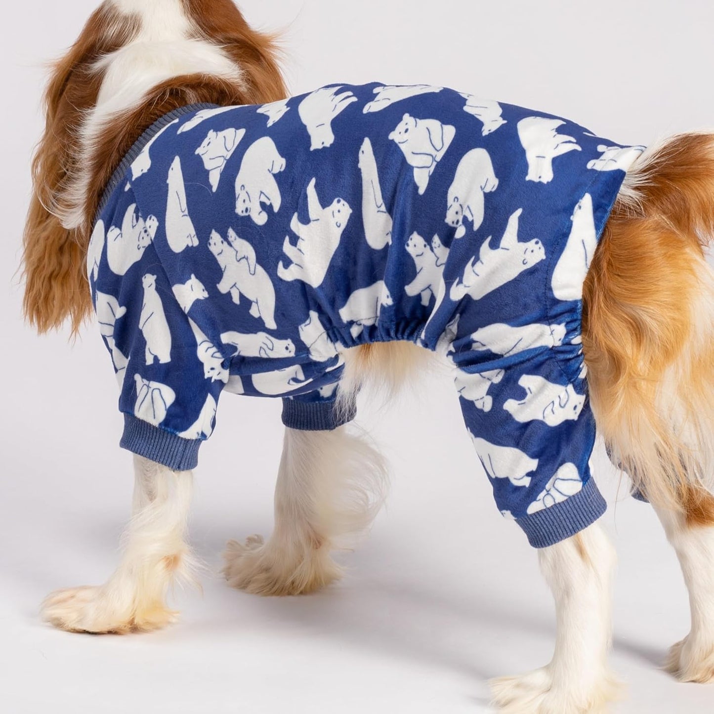 Fitwarm Polar Bear Dog Pajamas, Dog Clothes for Small Dogs Girl Boy, Pet Onesie with Feet, Cat Outfit, Lightweight Velvet, Royal Blue, White, Large