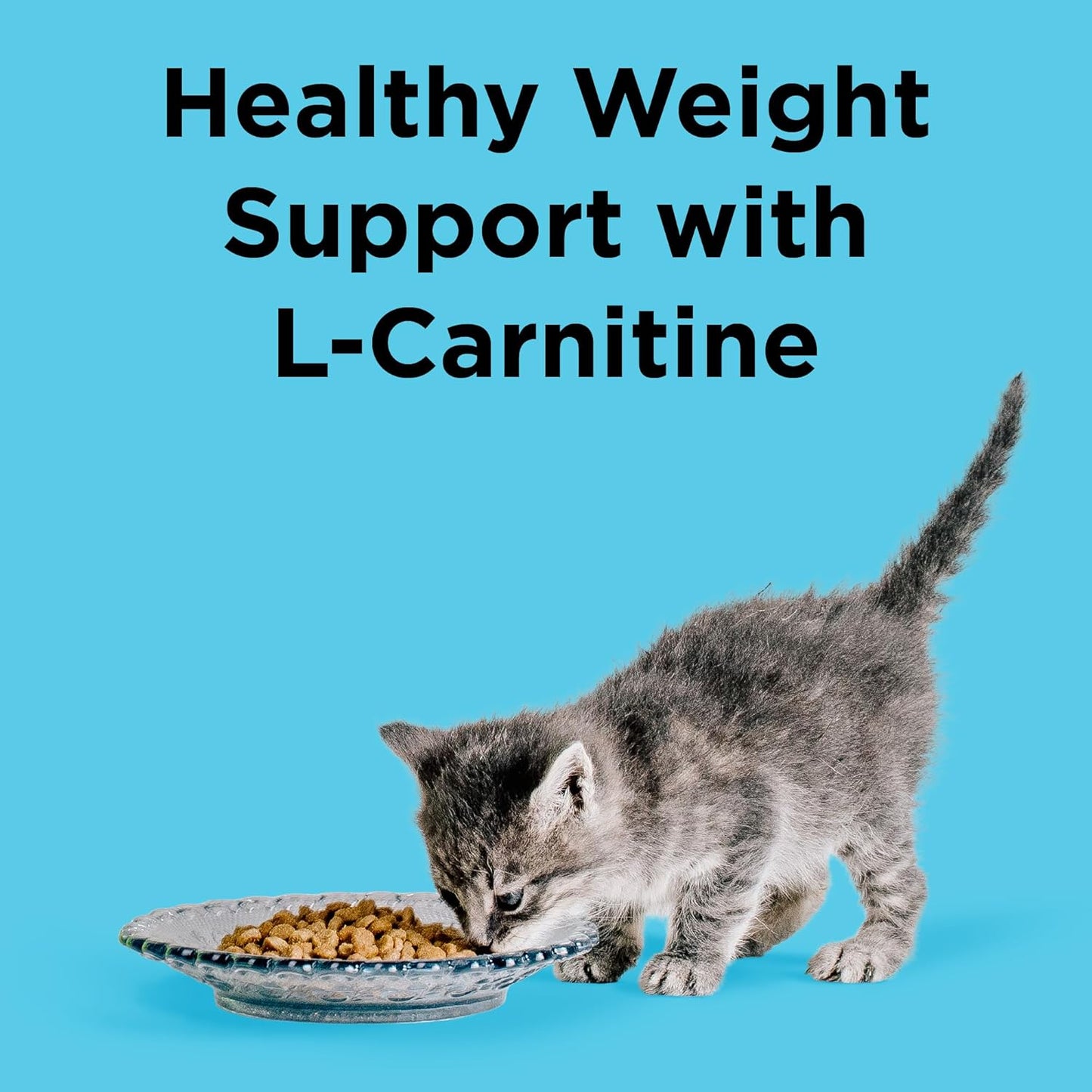 BIXBI Liberty Dry Food Indoor Cat Health Chicken & Salmon Recipe, 3lb