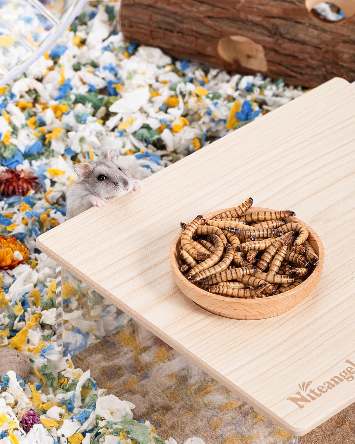 Niteangel Small Animal Snack & Treats - Small Critter Natural Treat for Dwarf Syrian Hamsters Gerbils Mice Sugar Glider Hedgehogs Chickens Birds (Freeze-Dried Worms- 1.4oz (40g))