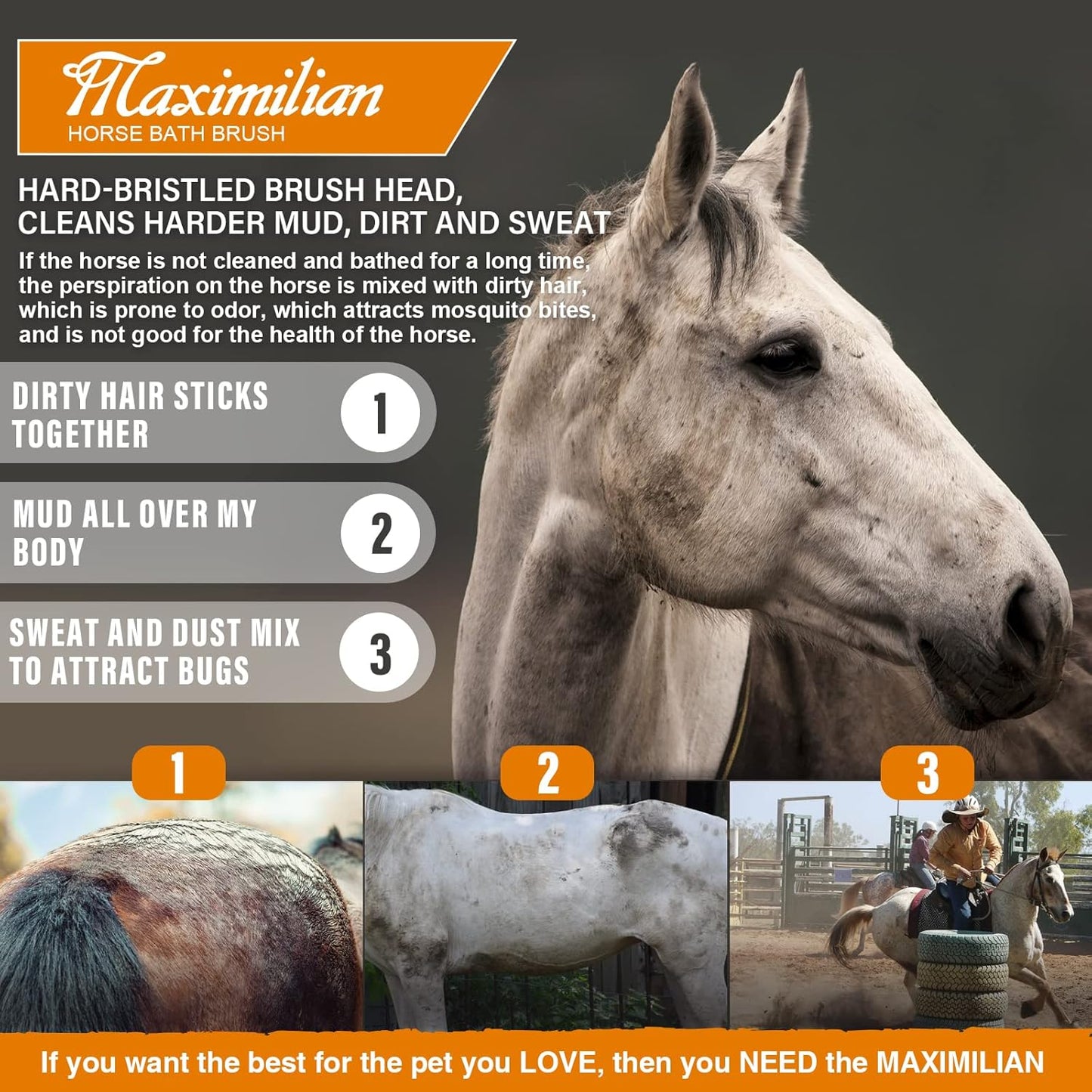 MAXIMILIAN World Class Handmade Equine Stiff Body Horse Brush. Professional Equine Grooming Tools. Effortlessly Removes Mud, Sweat and Dirt from Your Horses Hair.