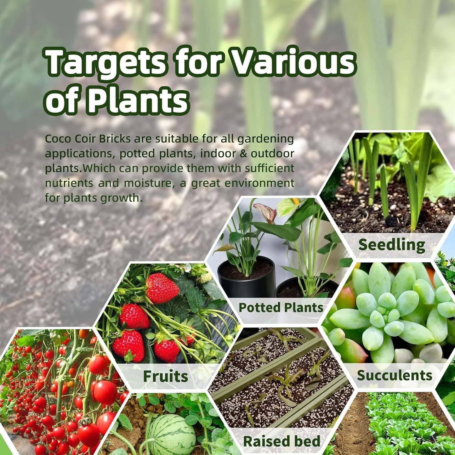 Coco Coir Bricks (16-Pack, Eco-Friendly) -100% Natural Compressed Coco Peat Brick Coconut Fiber Substrate, Plant Soil Enhance Root Growth forVegetable Seed, Herbs, Flowers, House Plants