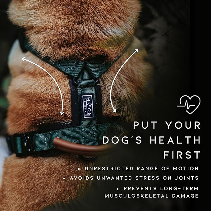 MADE TO ROAM Premium Explorer Harness - Y-Shaped Dog Harness with Adjustable Durable Nylon, Soft Padding, Metal Buckles and Leather Handle for Small, Medium, Large Dogs (Utah Glow, Size 3)
