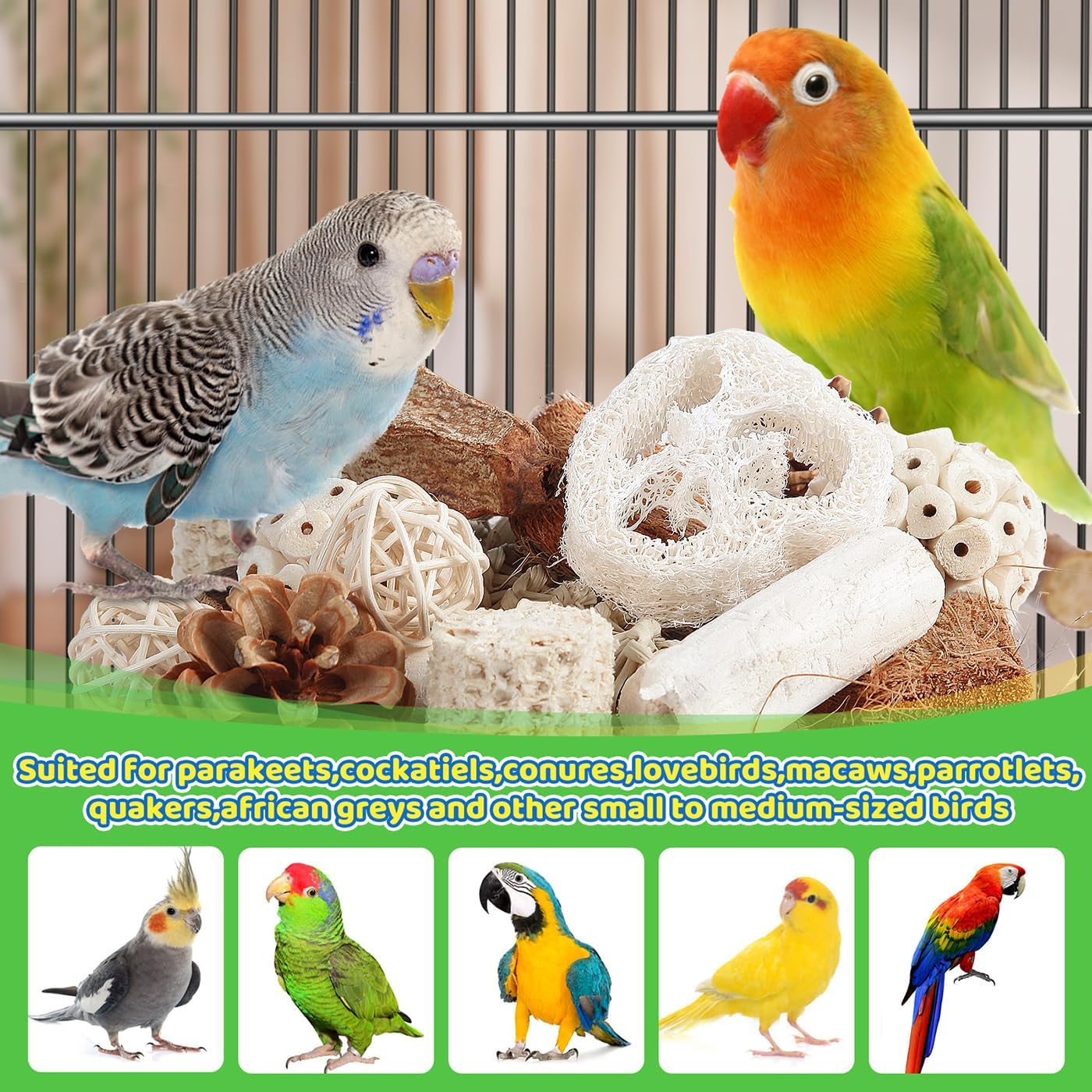Kyouki Bird Toys Parrot Toys Natural Bird Foraging Box Foot for Parakeets,Cockatiels,Conures,Love Birds,and Other Small to Medium Birds (Medium)