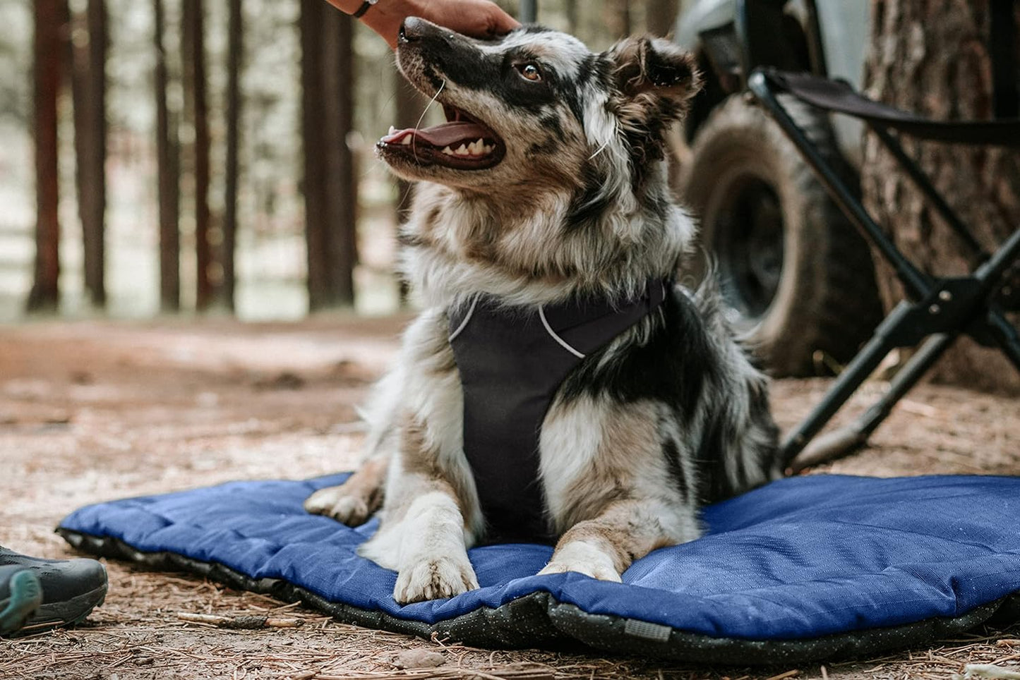 K9 Ballistics Tough Ripstop Dog Crate Pad - Durable & Machine Washable with Non-Skid Bottom and 120-Day Warranty, Fits 30" Wire Crates - Small, Blue Quartz