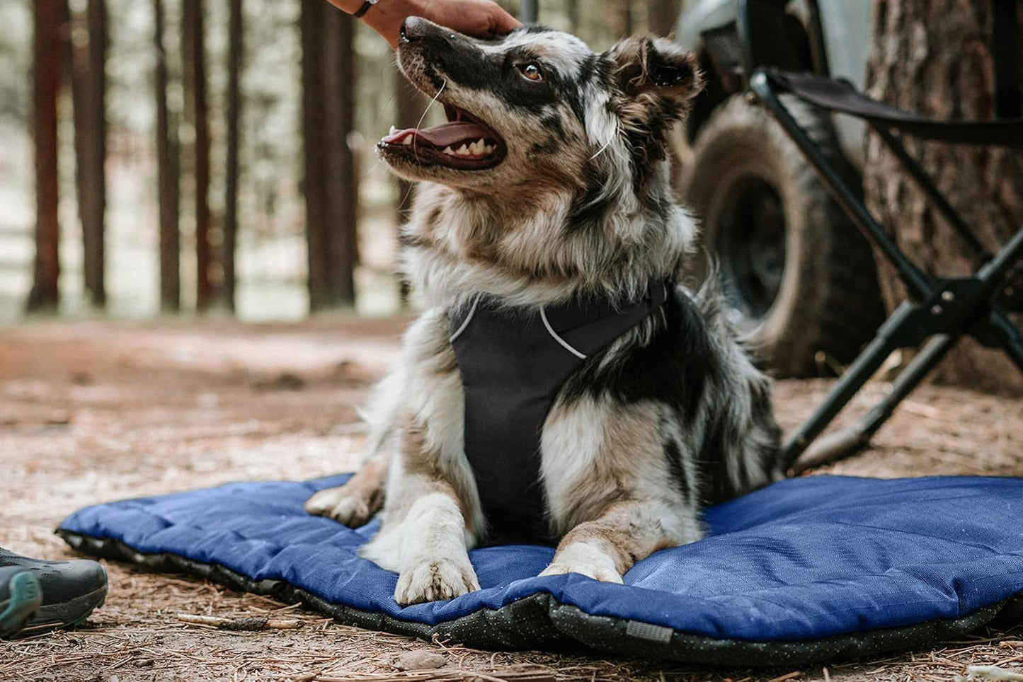 K9 Ballistics Tough Ripstop Dog Crate Pad - Durable & Machine Washable with Non-Skid Bottom and 120-Day Warranty, Fits 54" Wire Crates - XX-Large, Blue Quartz