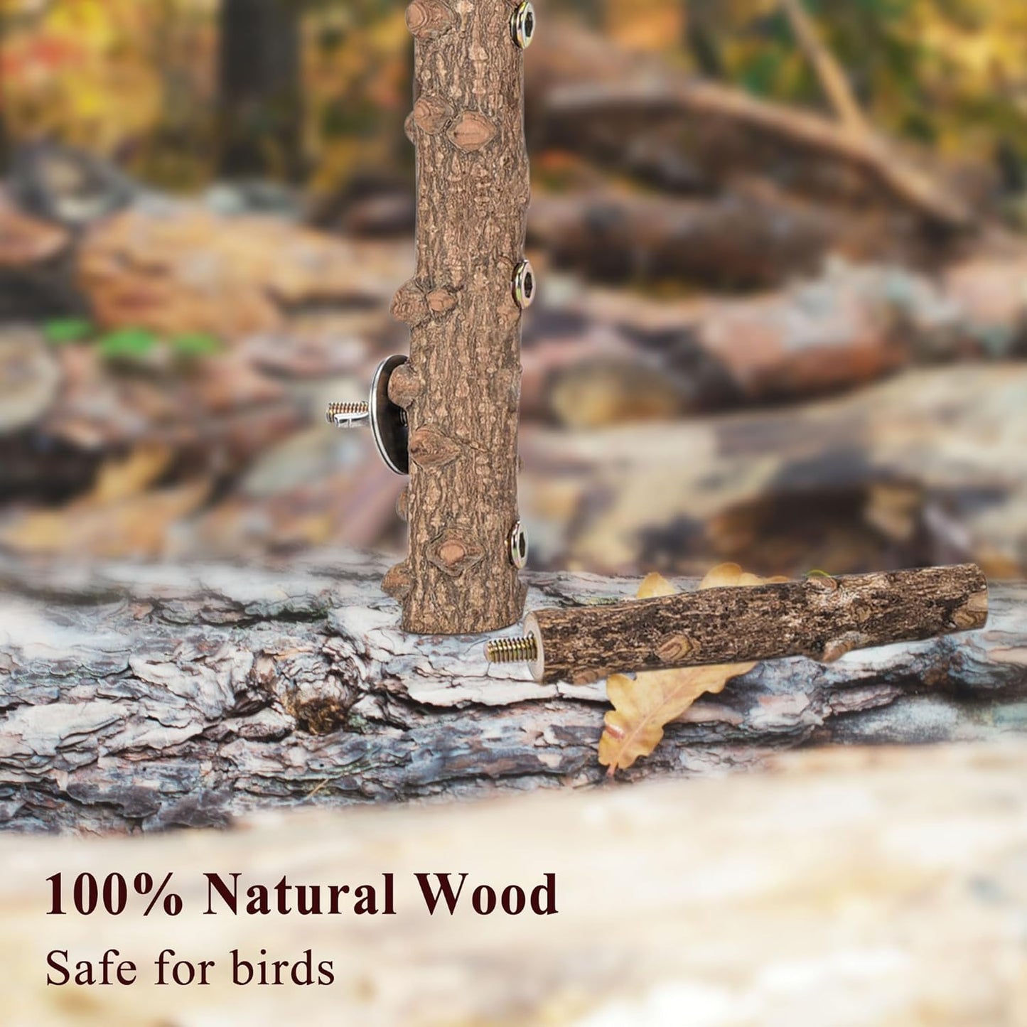 CozyCabin Natural Bird Ladder Stand, Hanging Multi Branch Grapevine Parrot Perch Bird Cage Toys for Small Budgies Conure Parakeets Cockatiels Lovebirds (Ladder)