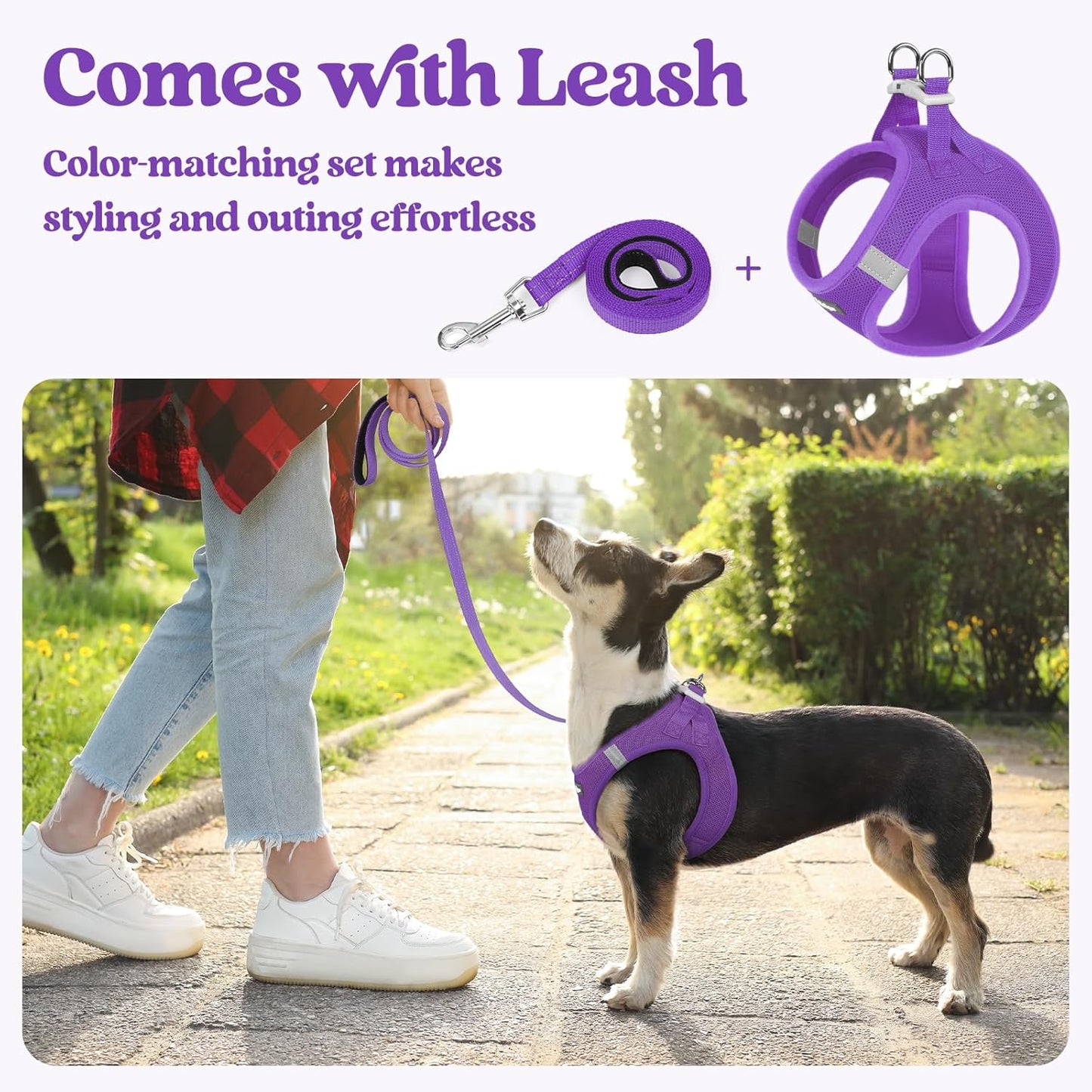 rabbitgoo Dog Harness Small Sized and Leash Set, Step in Soft Light Puppy Vest, Breathable Mesh Pet Harness, Reflective for Safe Outdoor Walking, Purple XXS