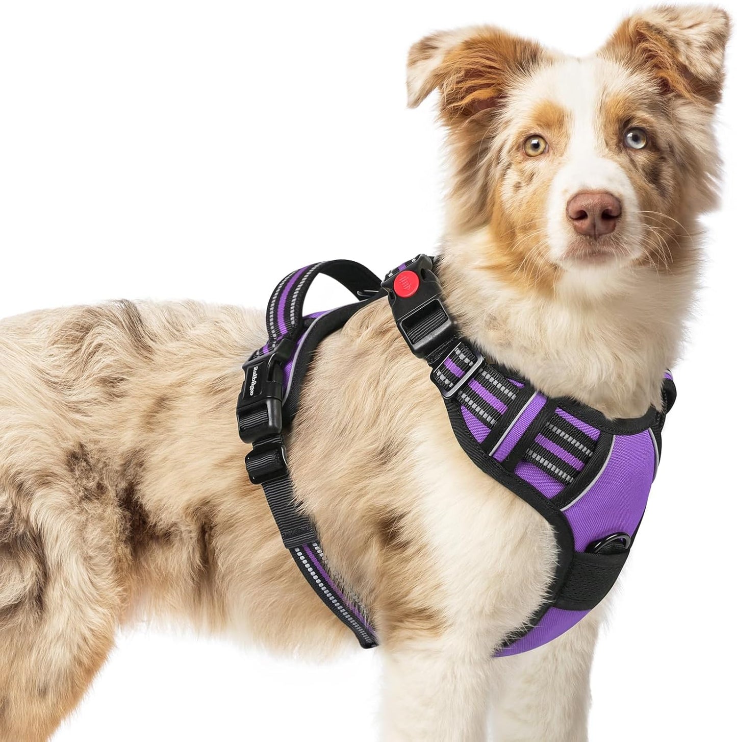 rabbitgoo Dog Harness Medium Sized, No Pull Pet Harness with 3 Buckles, Adjustable Soft Padded Vest with Control Handle, Walking Reflective Pet Vest for Medium Dogs, Purple, M