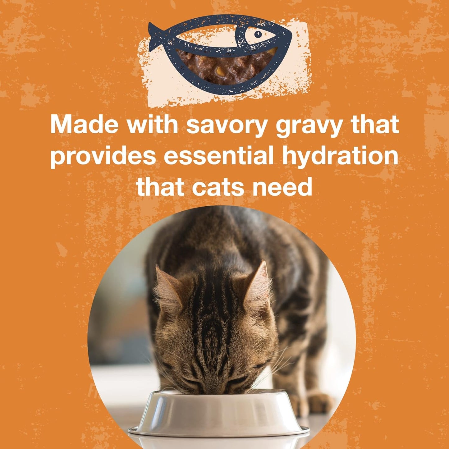 KOHA Poké Bowl Tuna & Pumpkin Entree in Gravy for Cats, 12-Pack of 3oz Pouches