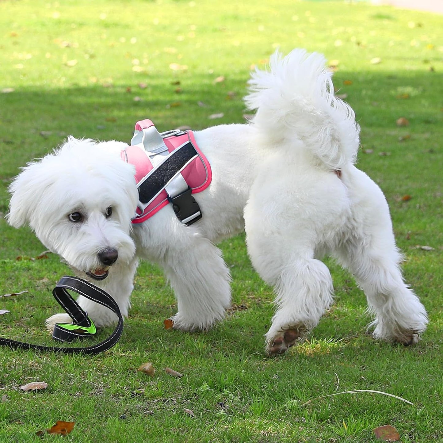 Bolux Dog Harness, No-Pull Reflective Dog Vest, Breathable Adjustable Pet Harness with Handle for Outdoor Walking - No More Pulling, Tugging or Choking (Fuchsia, X-Small (Pack of 1))