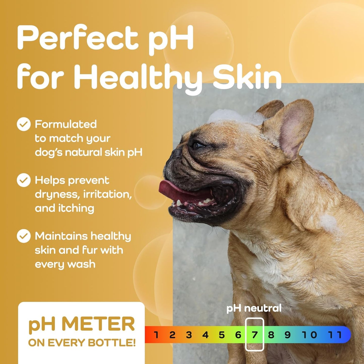 Sensitive Care -Tangle-Free-Silky Shine Softening and detangling Shampoo, Delicate Coat Clean & Odor Control Shampoo – Advanced Shine Formula for Dogs (Bulldog, 16 Fluid Ounces)