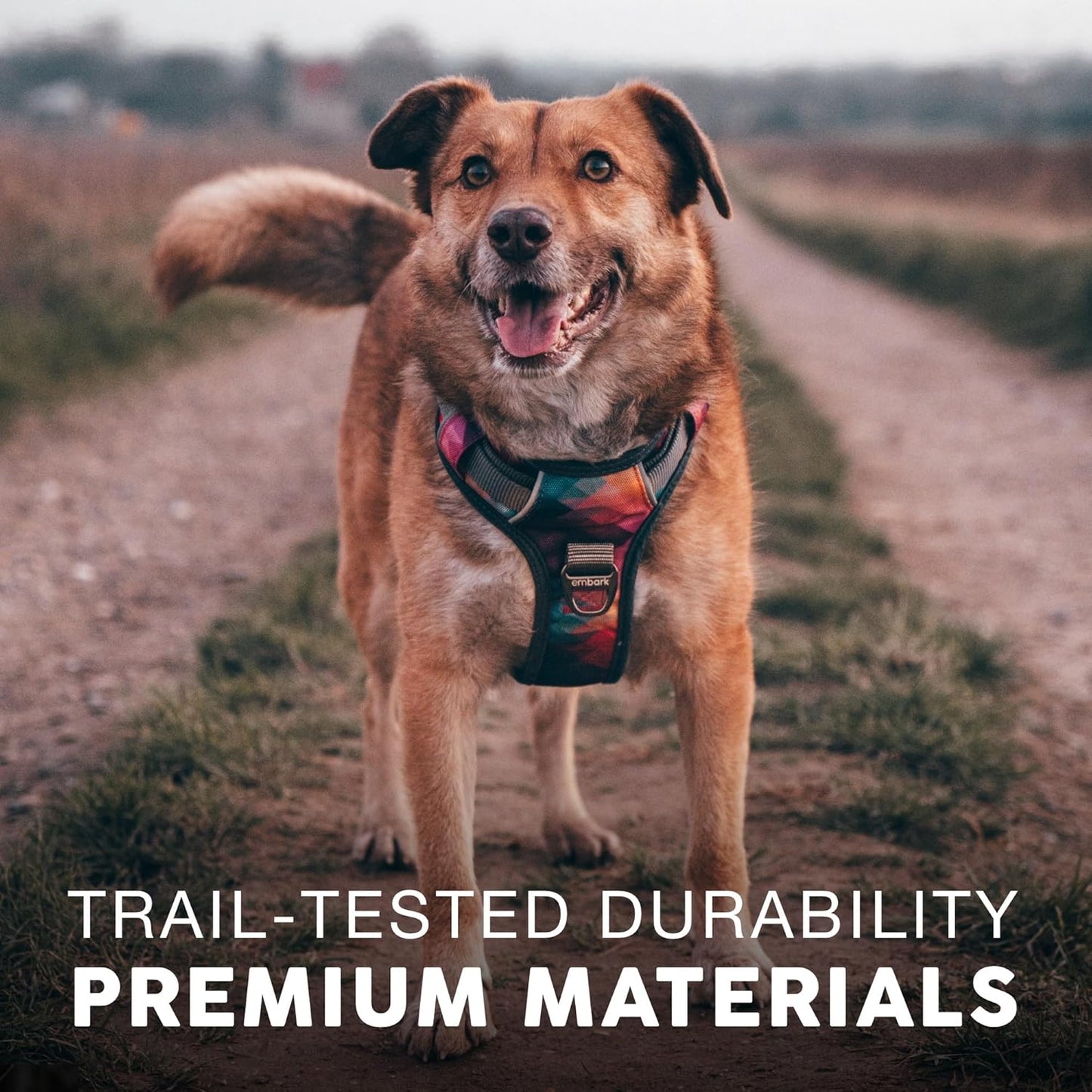 Embark Adventure Dog Harness, Reflective Trim XL for Extra Large Dogs No Pull - Military Grade Nylon, 2 Leash Clips & Gel Lined Handle. Soft & Padded Puppy Dog Harnesses for Any Breed