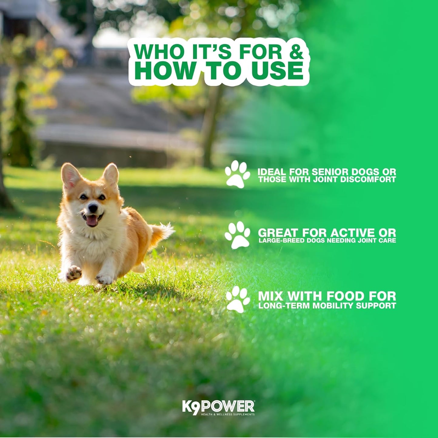 K9 Power Joint Strong Supplement 1 lb - Dog Joint Health & Mobility Support with Glucosamine, Curcumin, Chondroitin, Hip & Joint Pain Relief