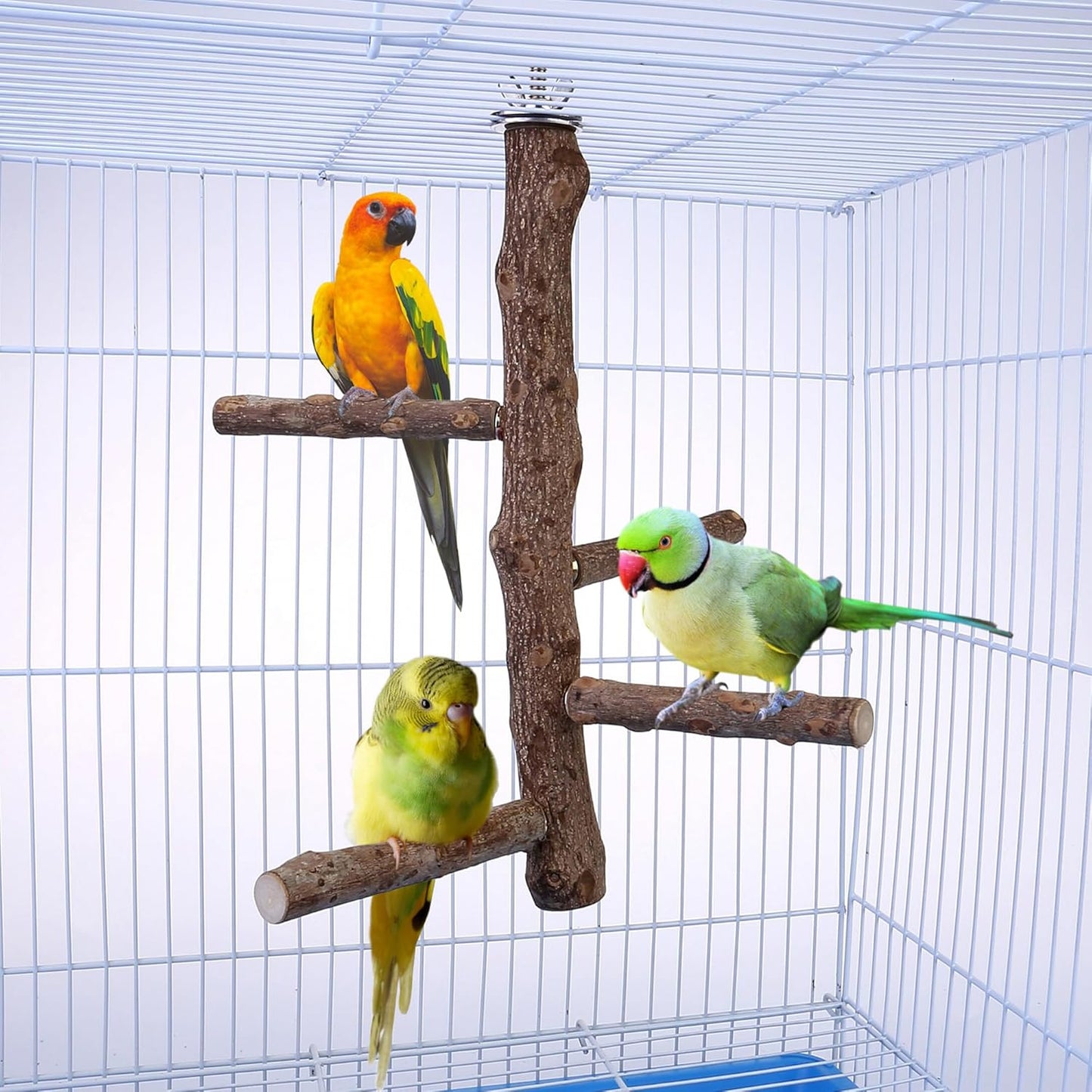 CozyCabin Bird Perch Stand Natural Wood Cage Perch Bird Cage Accessorie Toys Standing Rack for Cockatiels, Parakeets, Macaw, Small Birds Exercise Training