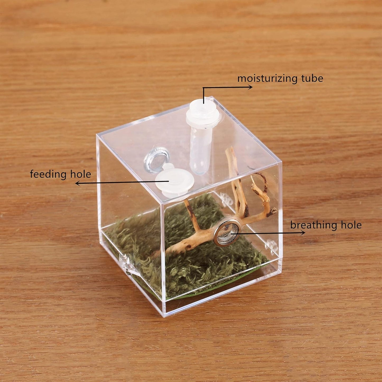 crapelles Jumping Spider Micro Middle Habitat, Small Pet Insect Breeding Box, 360 Degree Transparent Reptile Cage, Acrylic Case Mini Carrier for Amphibians, Feeding Container Enclosure Accessories