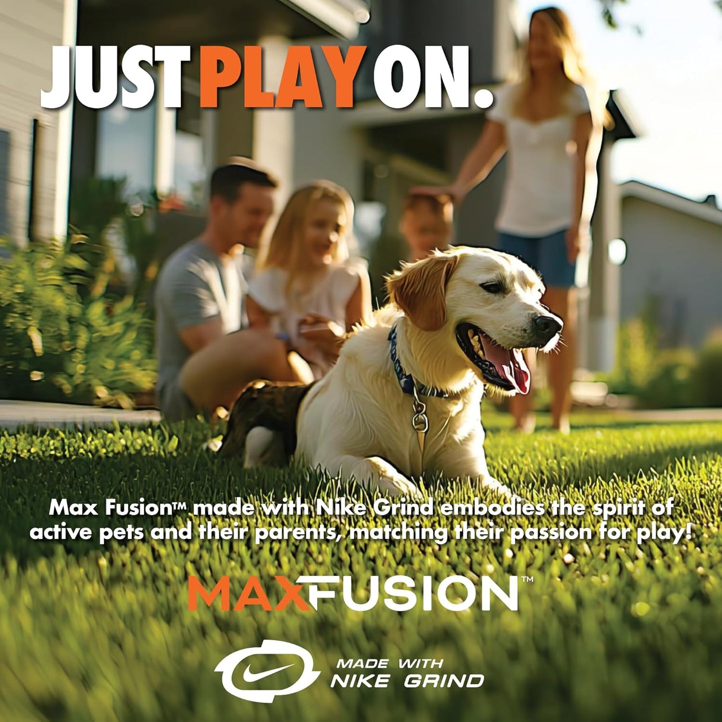 Max Fusion with Nike Grind, Arlee Phoneix Dog Toy, Chew Toy for Play, Fetch, Tug, M