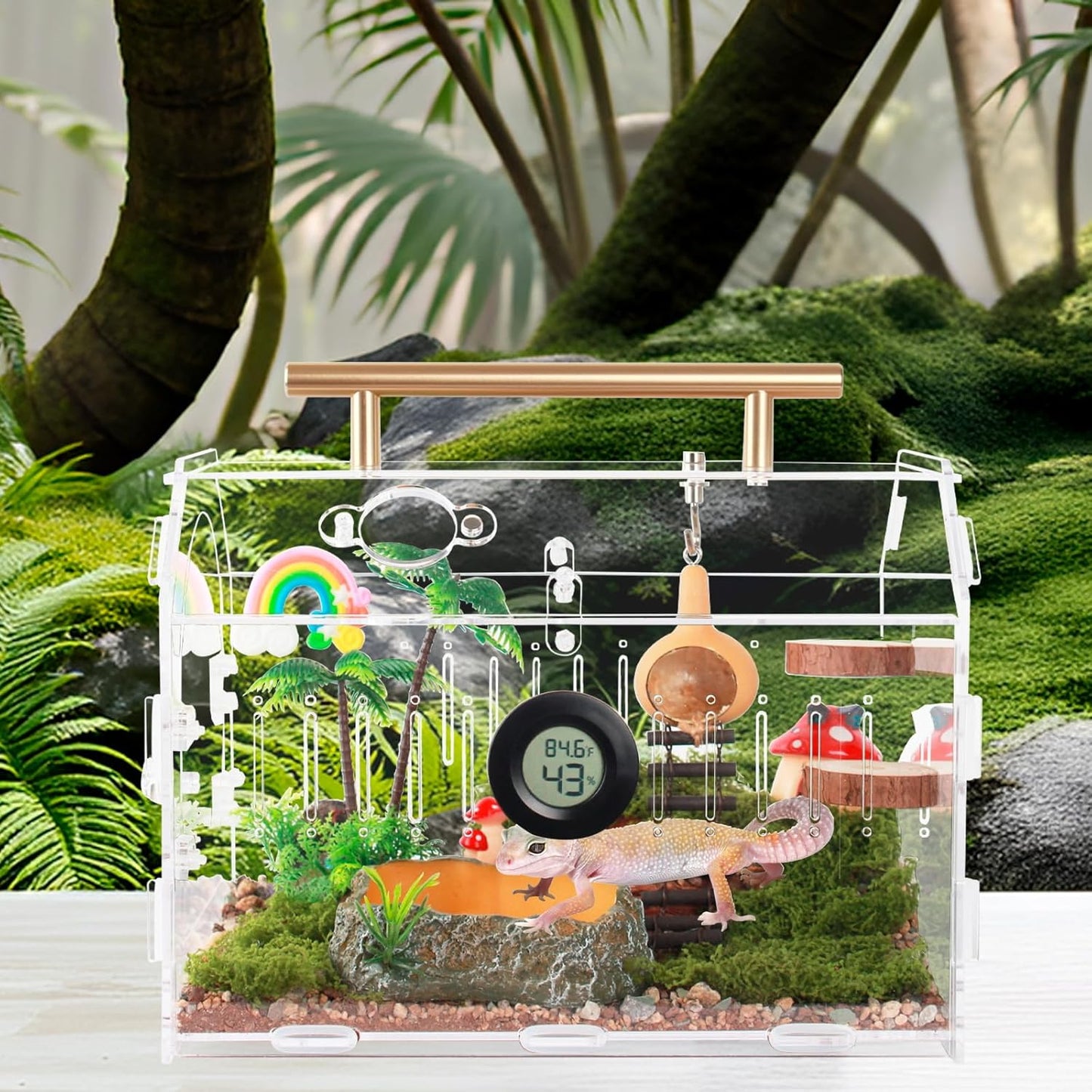 Acrylic Tarantula Enclosure – Escape-Proof Reptile Terrarium with Magnetic Lock, Front Opening for Easy Cleaning, Ideal for Jumping Spiders, Hermit Crabs & Small Pets