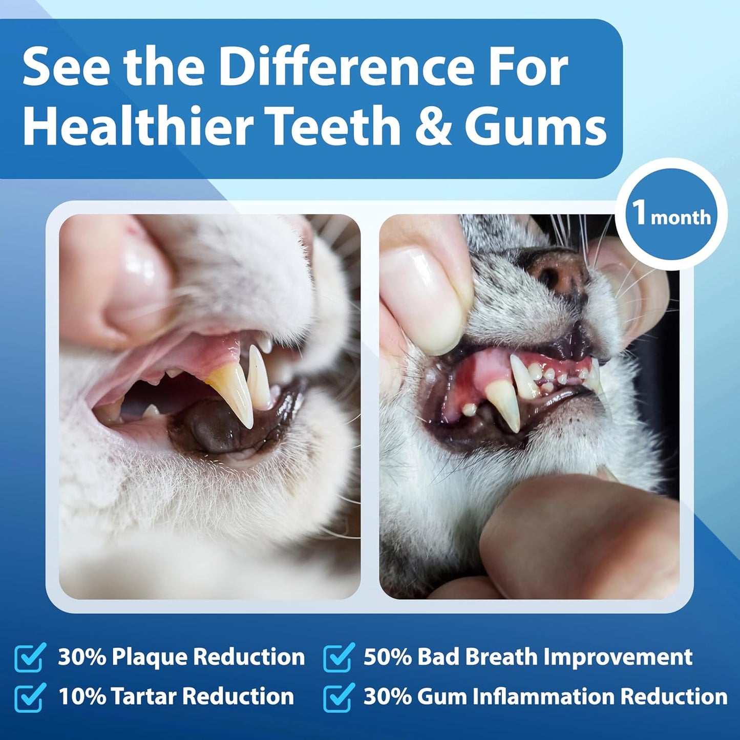 Cat Dental Care Powder Bad Breath Treatment for Cats Teeth, Mouth, Gums & Gut, Plaque Off,Tartar Control, Help Feline Gingivitis and Stomatitis, with Natural Extracts & Probiotics