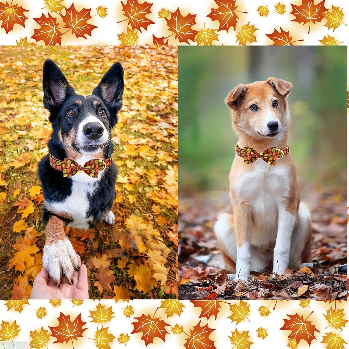 Unique style paws Fall Dog Collar with Bow, Puppy Collar Pet Gift Adjustable Dog Collar Soft and Comfy Bowtie Collars for Large Girl or Boy Dogs