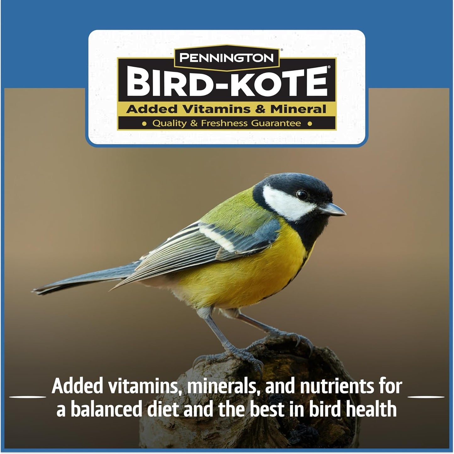 Pennington Wild Bird Food, Wild Bird Seed for Outside Feeders, Great to Feed Year-Round, 22.5-lb. Critter-Proof Bucket